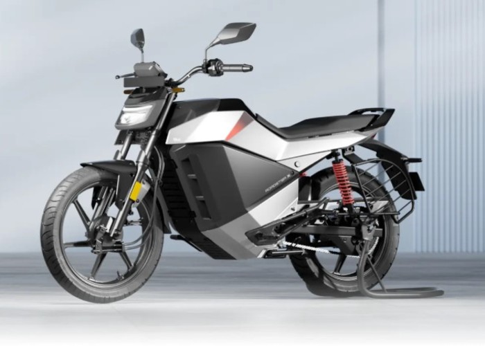 OLA Roadster X